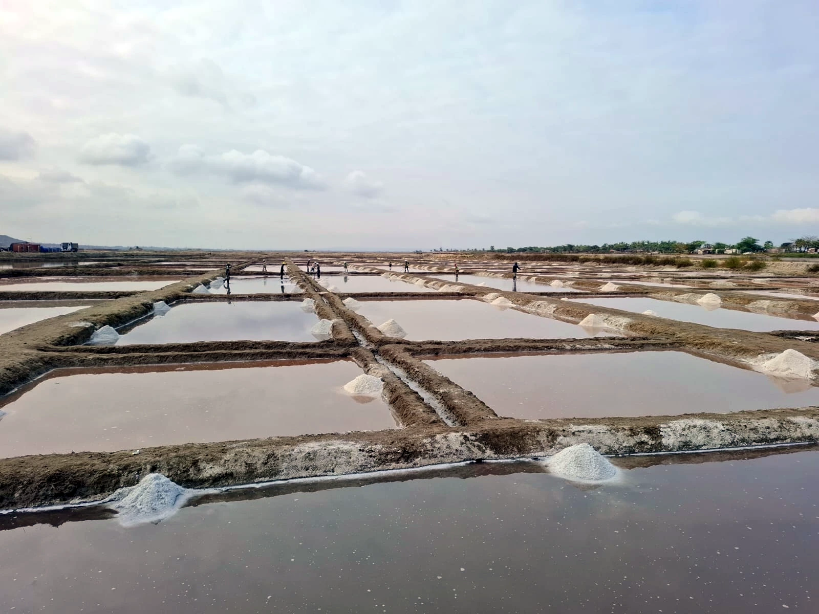 Salt Refinery